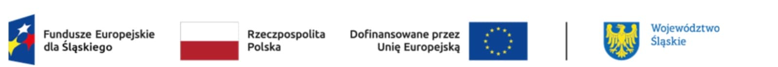 Fundusze Europejskie dla Śląskiego, Rzeczpospolita Polska, Dofinansowane przez Unię Europejską, Województwo Śląskie